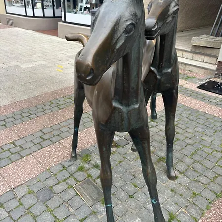 In Der Altstadt Von Verden Mit Blick Auf Den Dom, Ab 3 Uebernachtungen * Verden an der Aller